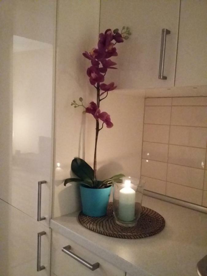 Angel Apartment Nr 4 Near To The Center براغ المظهر الخارجي الصورة